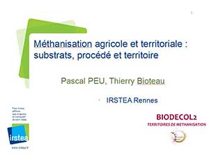 Istea