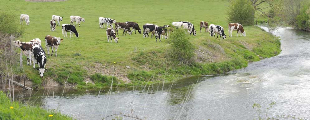 ruralité