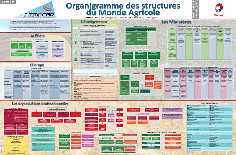 organigramme