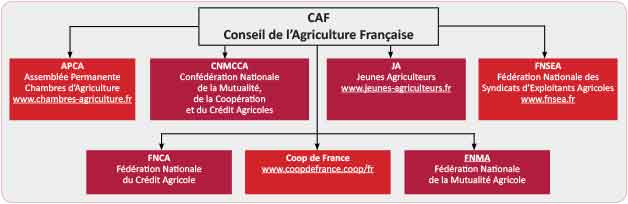 CAF