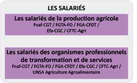 salariés
